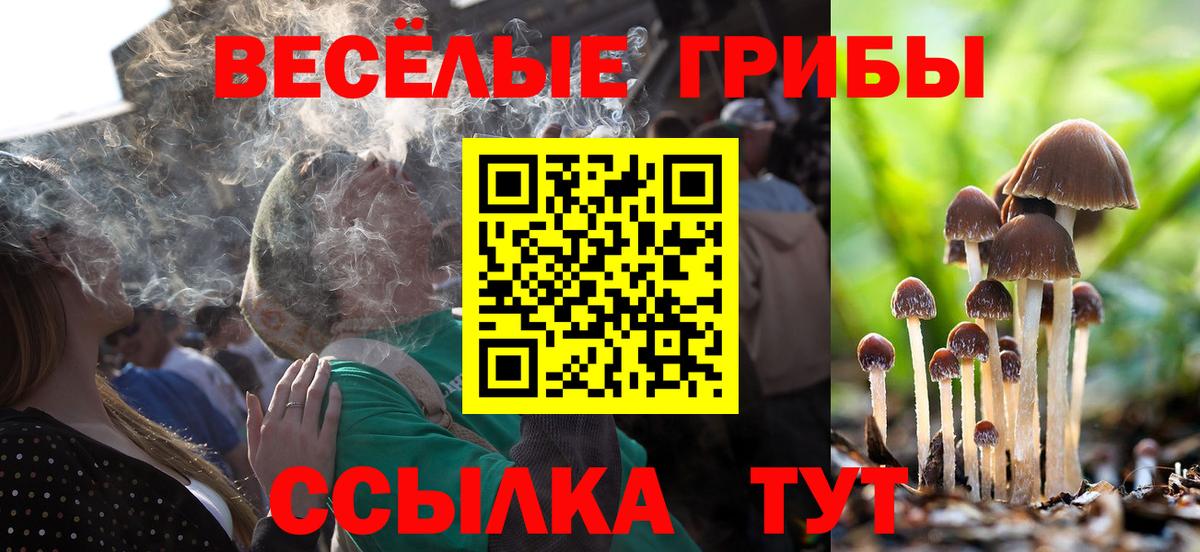 Галлюциногенные грибы мухоморы  Псилоцибиновые грибы мицелий  Вход с VPN  Иваново 